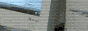 nulsie's web badge/button